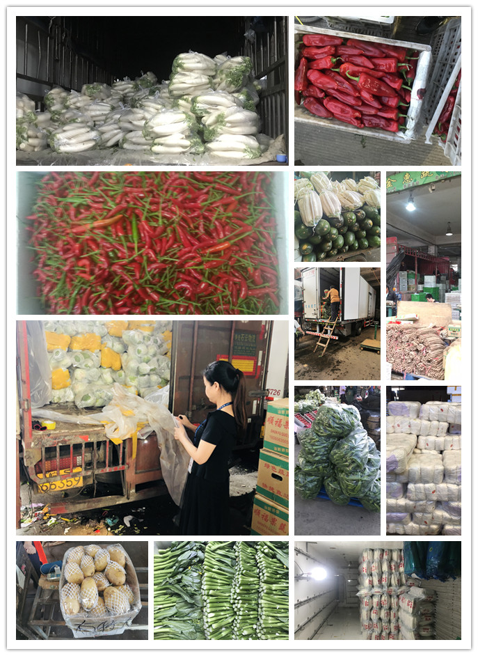 德赢·(VWIN)官方网站-AC米兰官方合作同伴