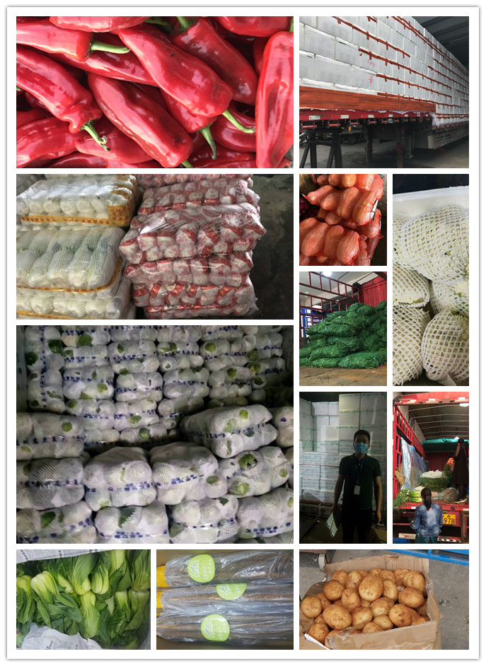 德赢·(VWIN)官方网站-AC米兰官方合作同伴