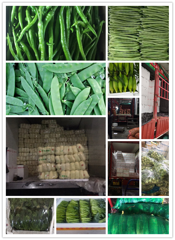 德赢·(VWIN)官方网站-AC米兰官方合作同伴