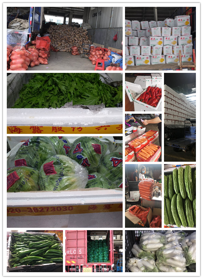 德赢·(VWIN)官方网站-AC米兰官方合作同伴