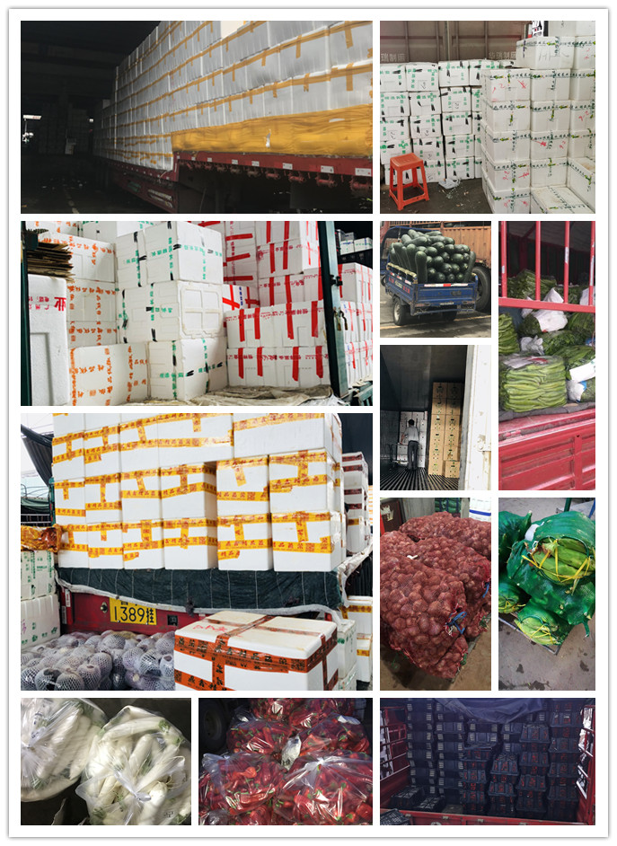 德赢·(VWIN)官方网站-AC米兰官方合作同伴