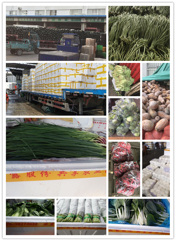 德赢·(VWIN)官方网站-AC米兰官方合作同伴