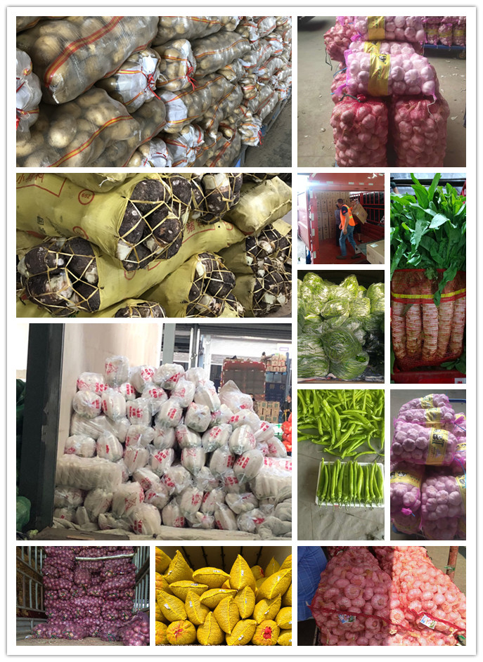 德赢·(VWIN)官方网站-AC米兰官方合作同伴