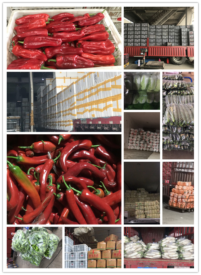 德赢·(VWIN)官方网站-AC米兰官方合作同伴