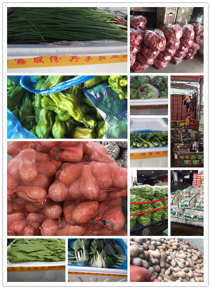 德赢·(VWIN)官方网站-AC米兰官方合作同伴