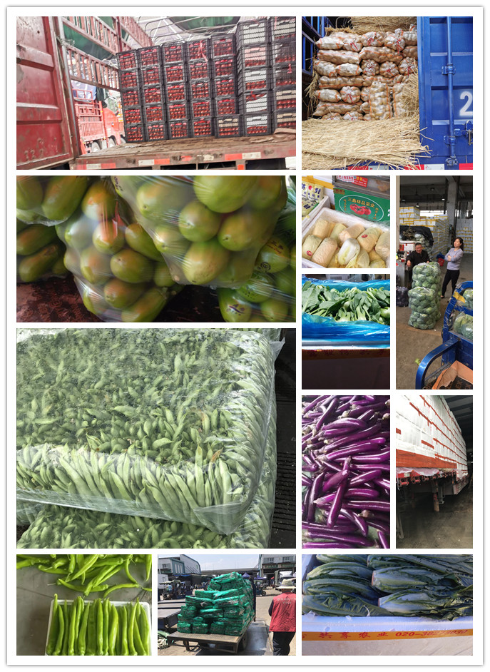 德赢·(VWIN)官方网站-AC米兰官方合作同伴