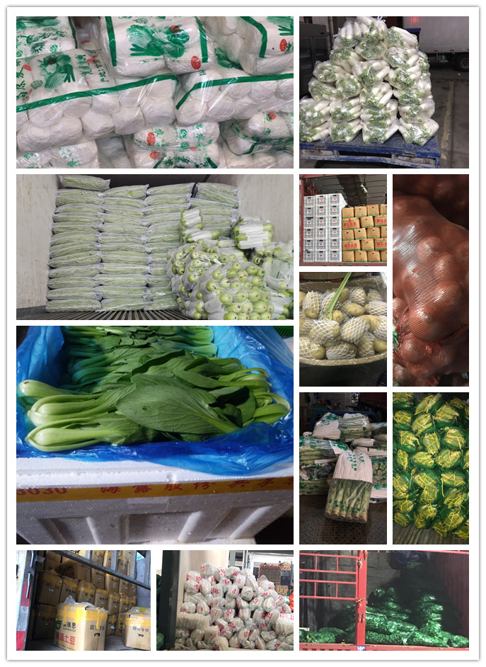 德赢·(VWIN)官方网站-AC米兰官方合作同伴