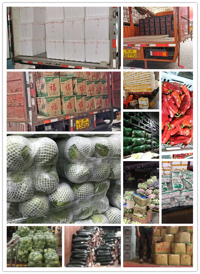 德赢·(VWIN)官方网站-AC米兰官方合作同伴