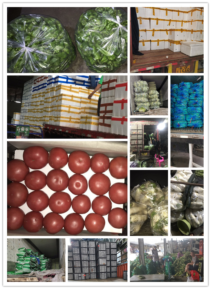 德赢·(VWIN)官方网站-AC米兰官方合作同伴