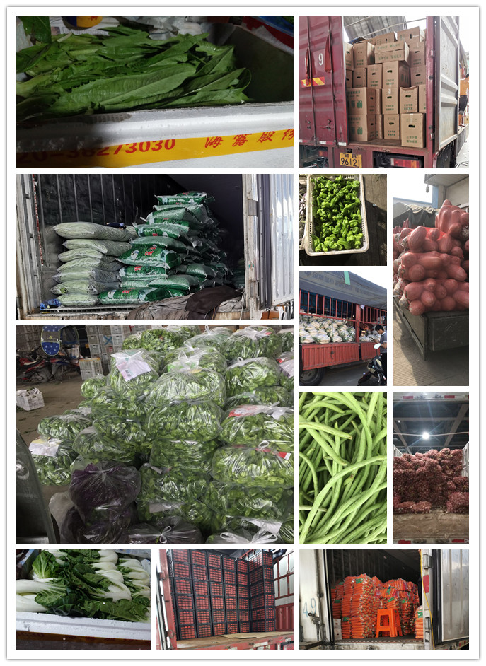 德赢·(VWIN)官方网站-AC米兰官方合作同伴