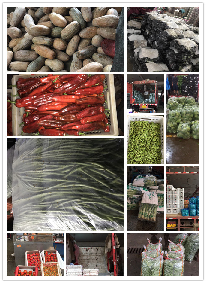 德赢·(VWIN)官方网站-AC米兰官方合作同伴