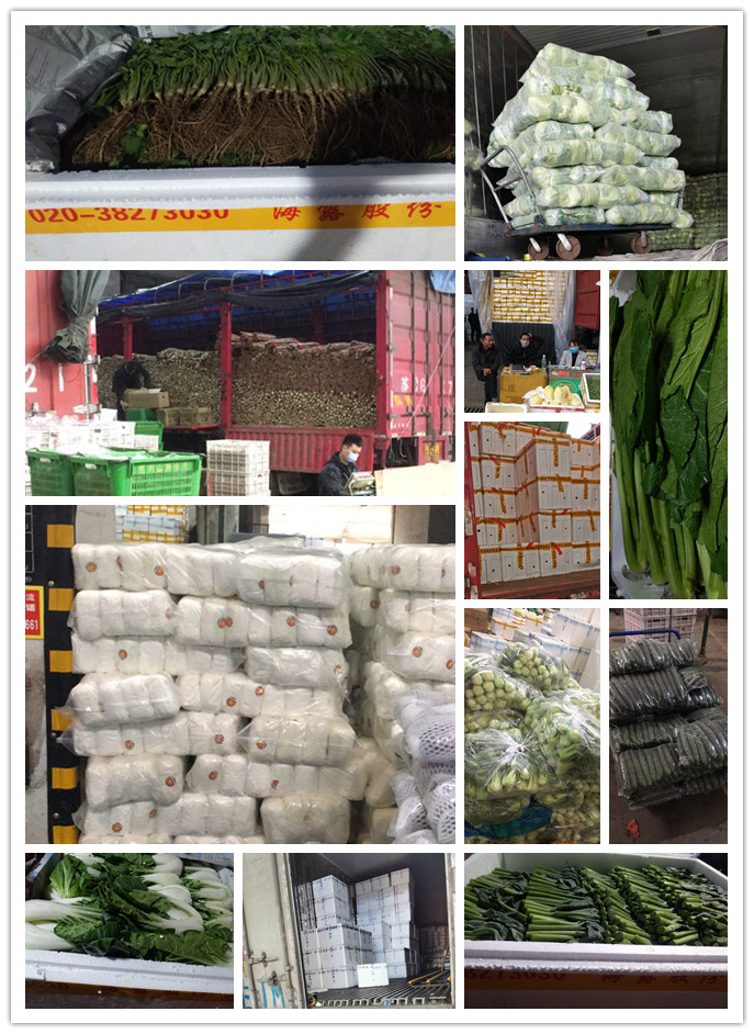 德赢·(VWIN)官方网站-AC米兰官方合作同伴