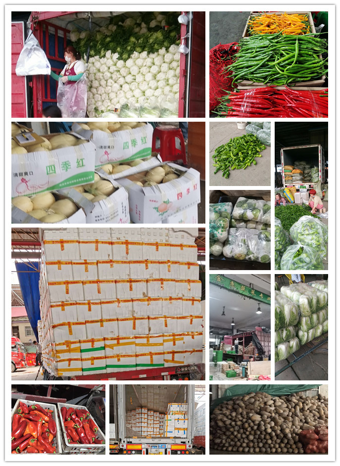 德赢·(VWIN)官方网站-AC米兰官方合作同伴