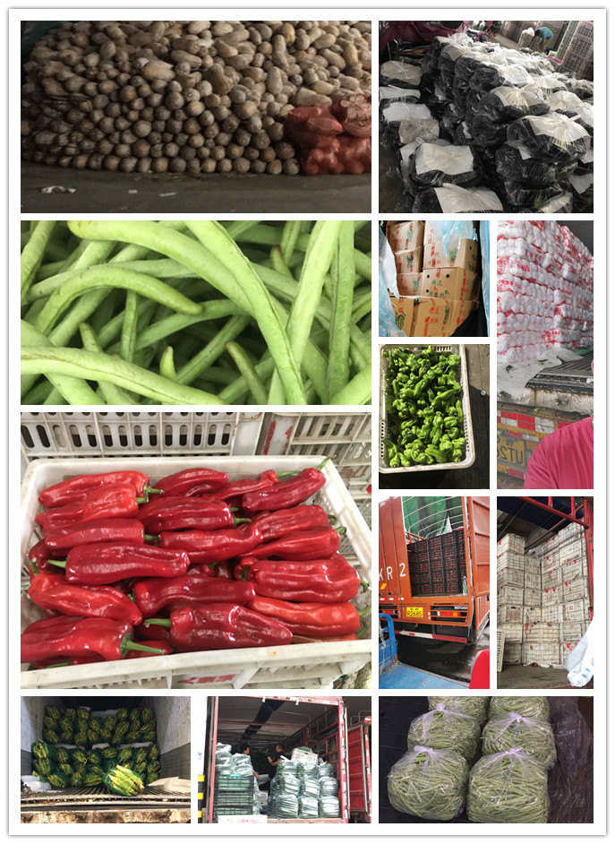 德赢·(VWIN)官方网站-AC米兰官方合作同伴