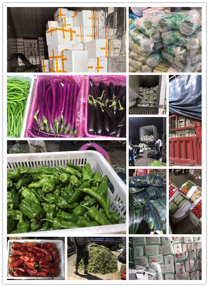 德赢·(VWIN)官方网站-AC米兰官方合作同伴