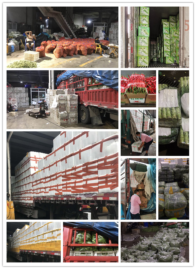 德赢·(VWIN)官方网站-AC米兰官方合作同伴