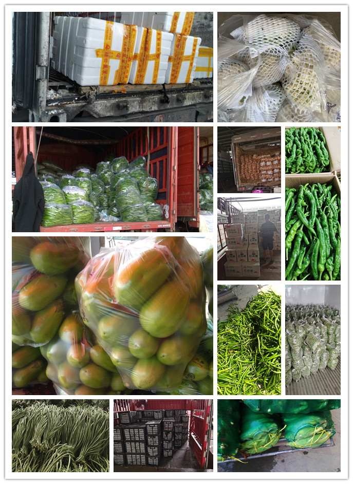 德赢·(VWIN)官方网站-AC米兰官方合作同伴