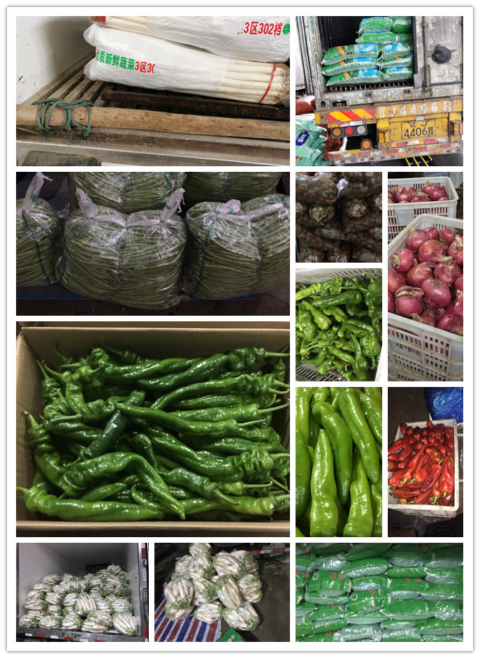 德赢·(VWIN)官方网站-AC米兰官方合作同伴