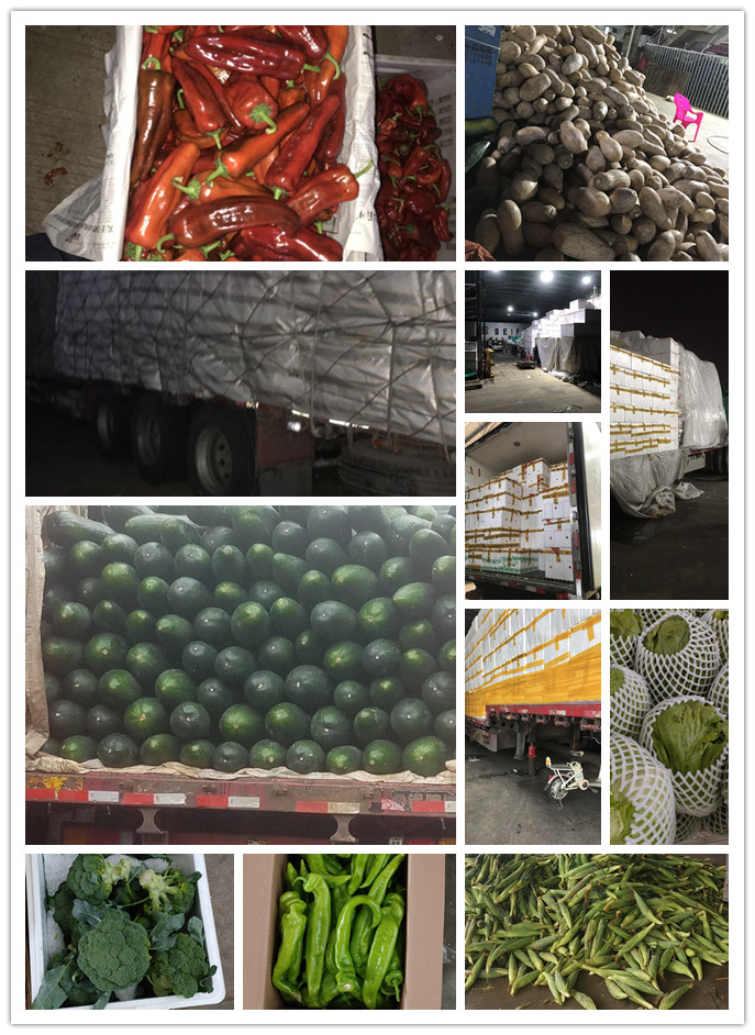 德赢·(VWIN)官方网站-AC米兰官方合作同伴