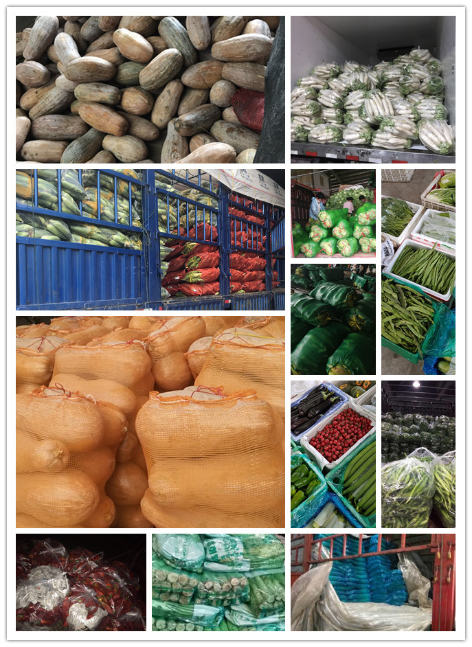 德赢·(VWIN)官方网站-AC米兰官方合作同伴