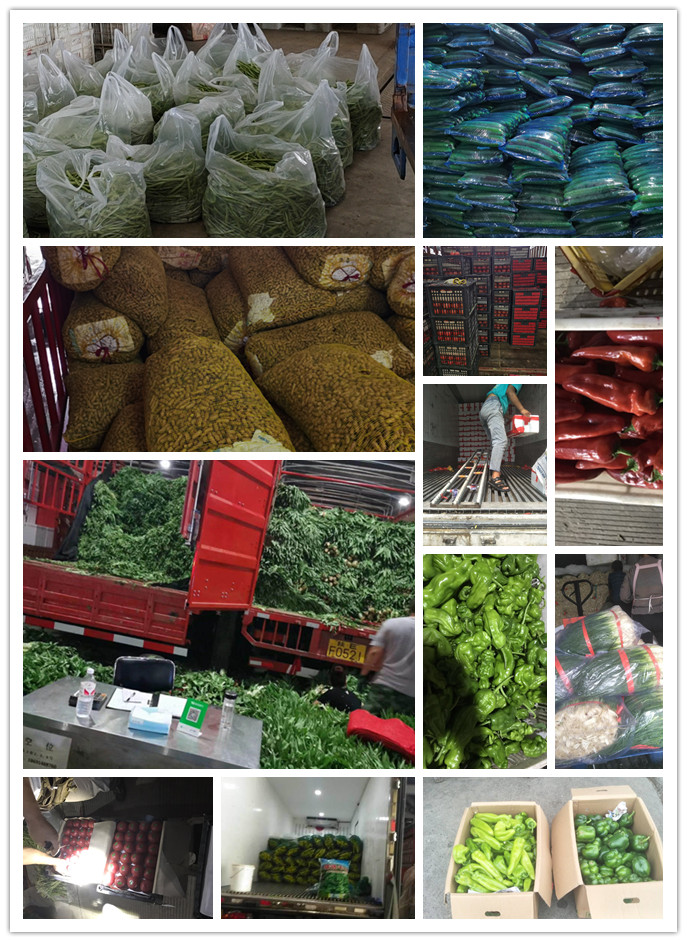 德赢·(VWIN)官方网站-AC米兰官方合作同伴