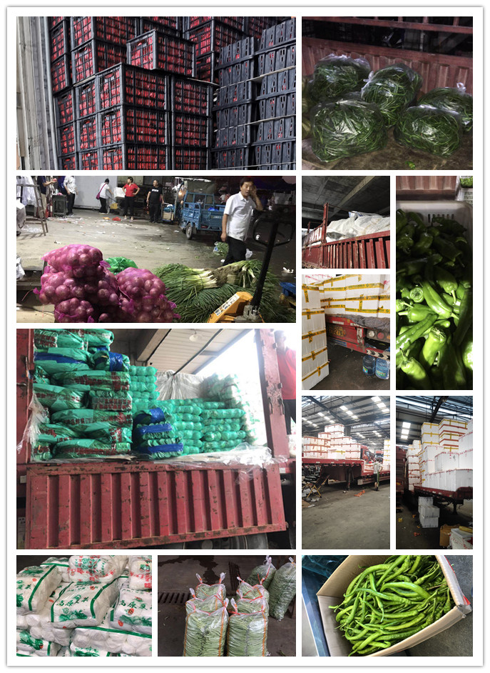 德赢·(VWIN)官方网站-AC米兰官方合作同伴