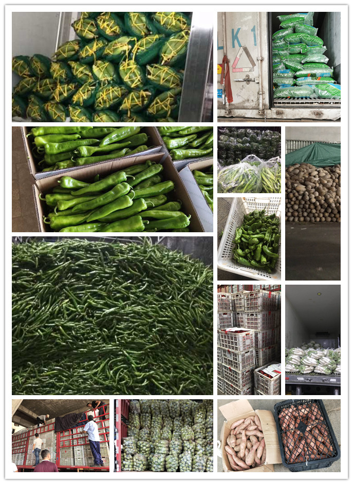 德赢·(VWIN)官方网站-AC米兰官方合作同伴