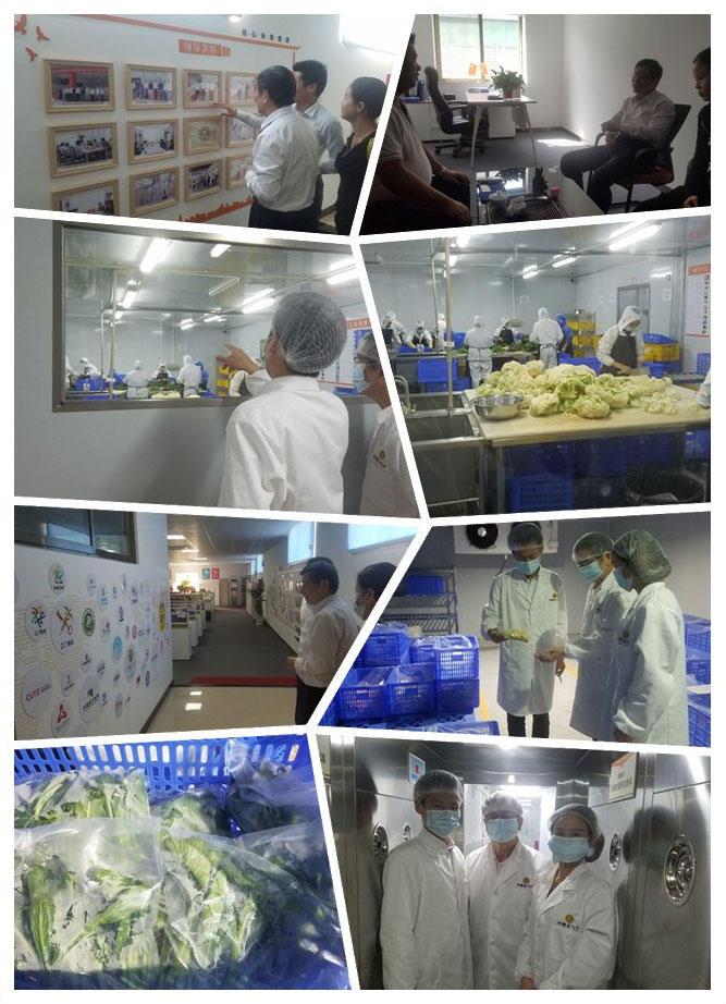 德赢·(VWIN)官方网站-AC米兰官方合作同伴