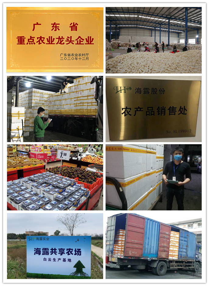 德赢·(VWIN)官方网站-AC米兰官方合作同伴