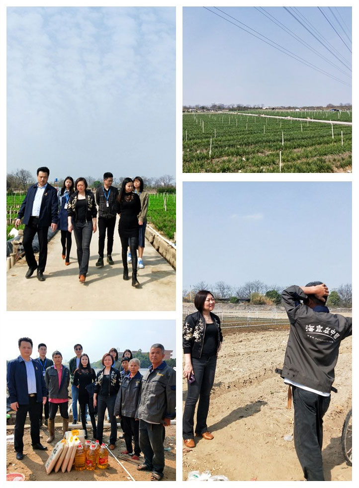 德赢·(VWIN)官方网站-AC米兰官方合作同伴