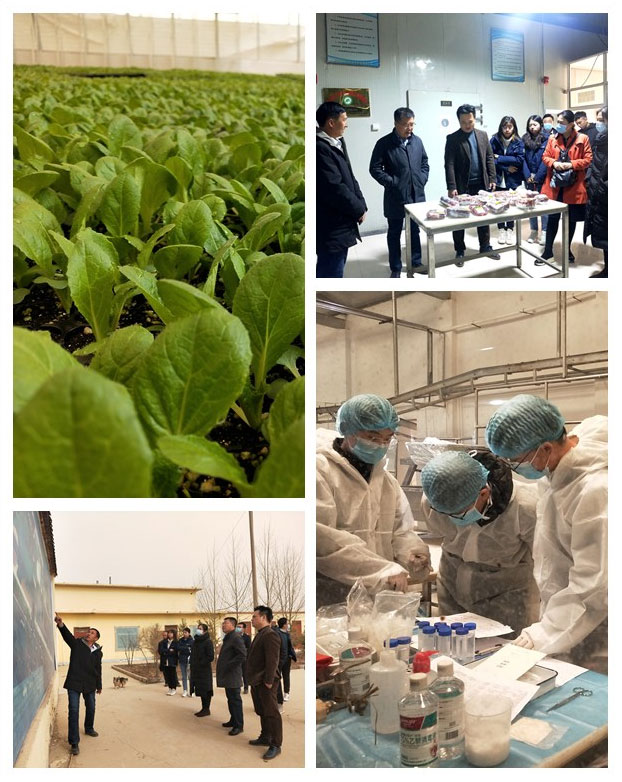 德赢·(VWIN)官方网站-AC米兰官方合作同伴