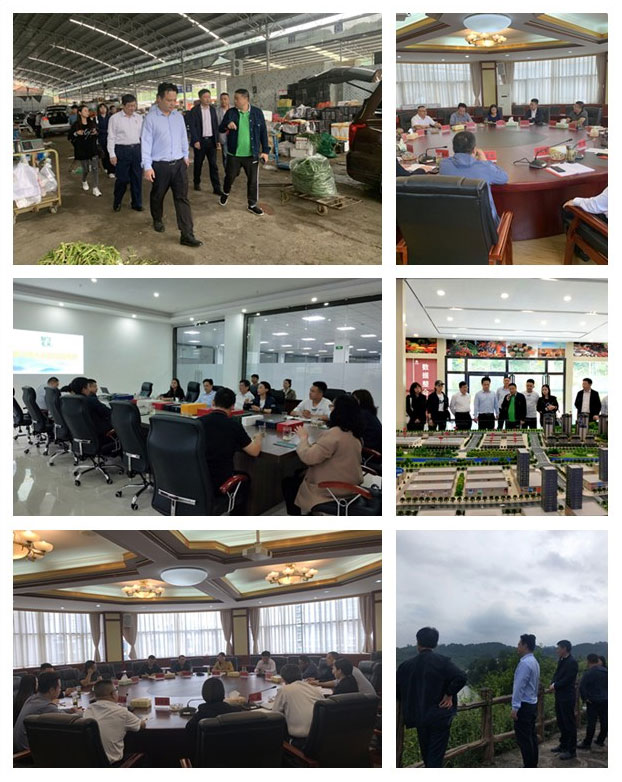 德赢·(VWIN)官方网站-AC米兰官方合作同伴