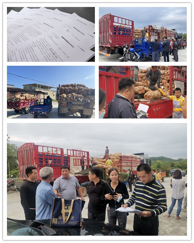 德赢·(VWIN)官方网站-AC米兰官方合作同伴