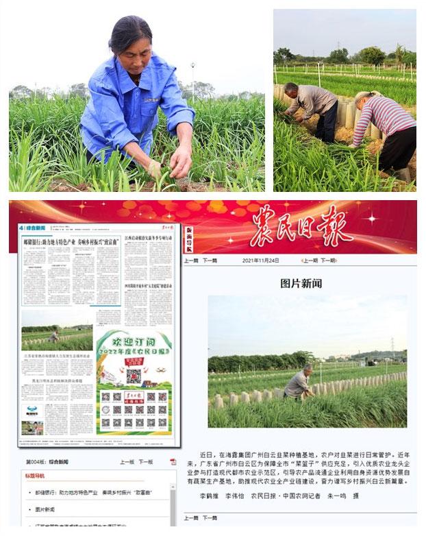 德赢·(VWIN)官方网站-AC米兰官方合作同伴