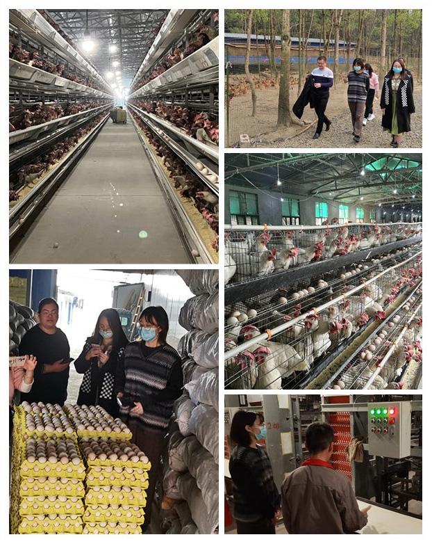 德赢·(VWIN)官方网站-AC米兰官方合作同伴