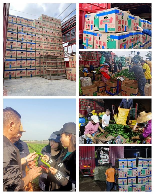 德赢·(VWIN)官方网站-AC米兰官方合作同伴