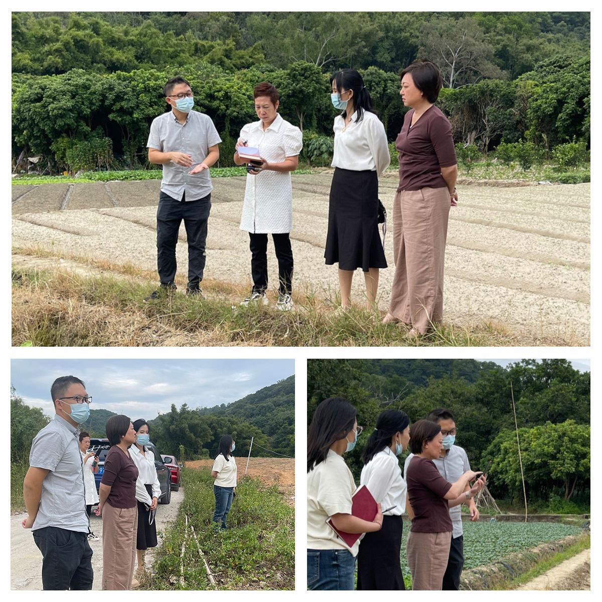 德赢·(VWIN)官方网站-AC米兰官方合作同伴