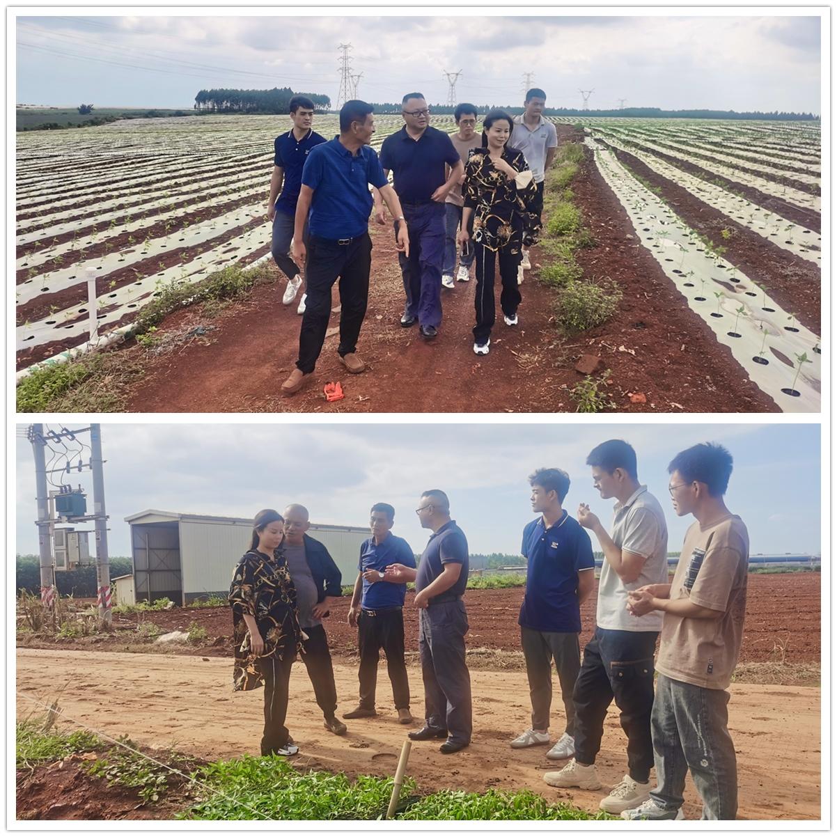 德赢·(VWIN)官方网站-AC米兰官方合作同伴