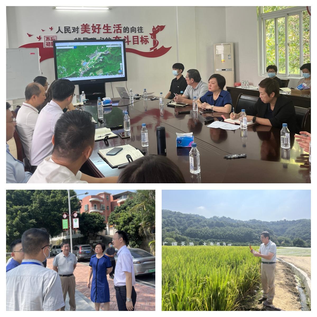 德赢·(VWIN)官方网站-AC米兰官方合作同伴