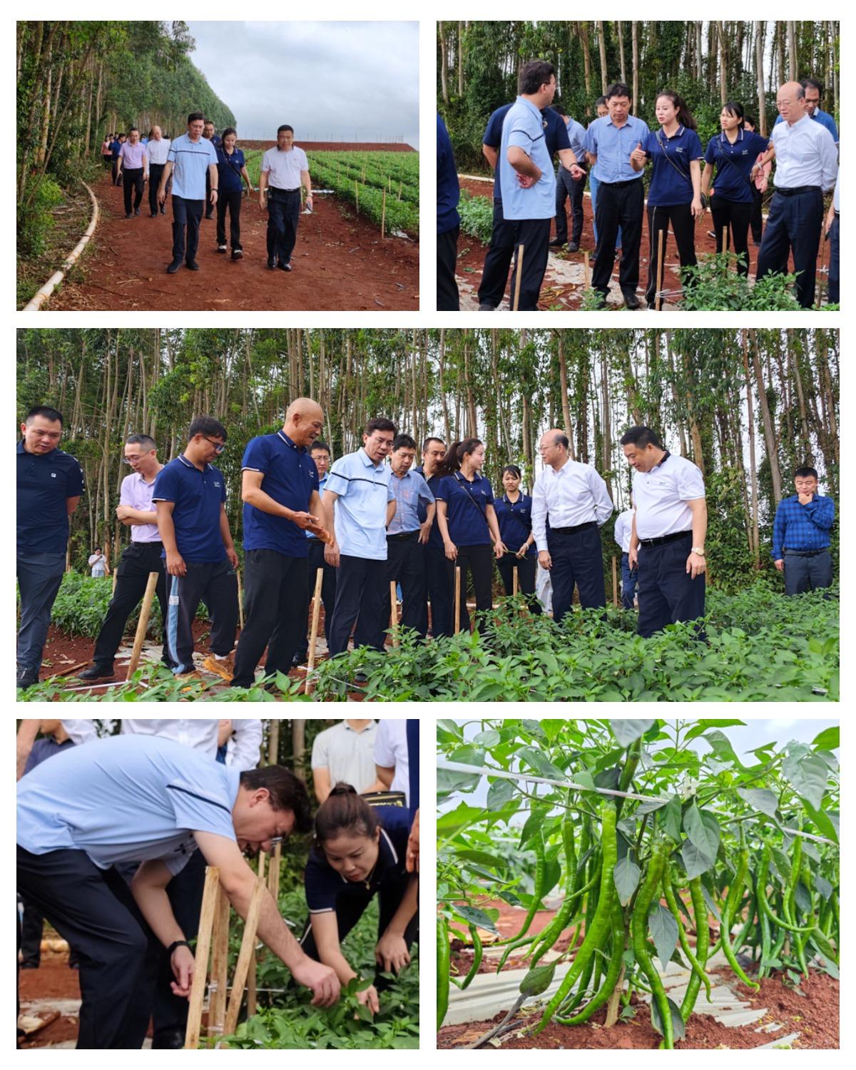 德赢·(VWIN)官方网站-AC米兰官方合作同伴