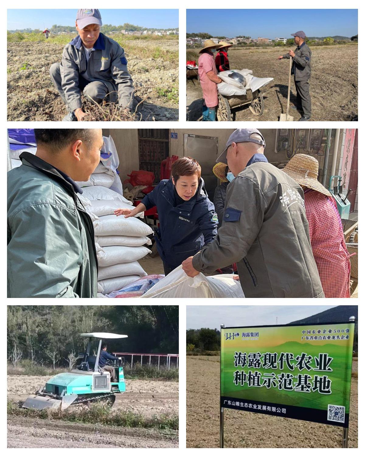 德赢·(VWIN)官方网站-AC米兰官方合作同伴