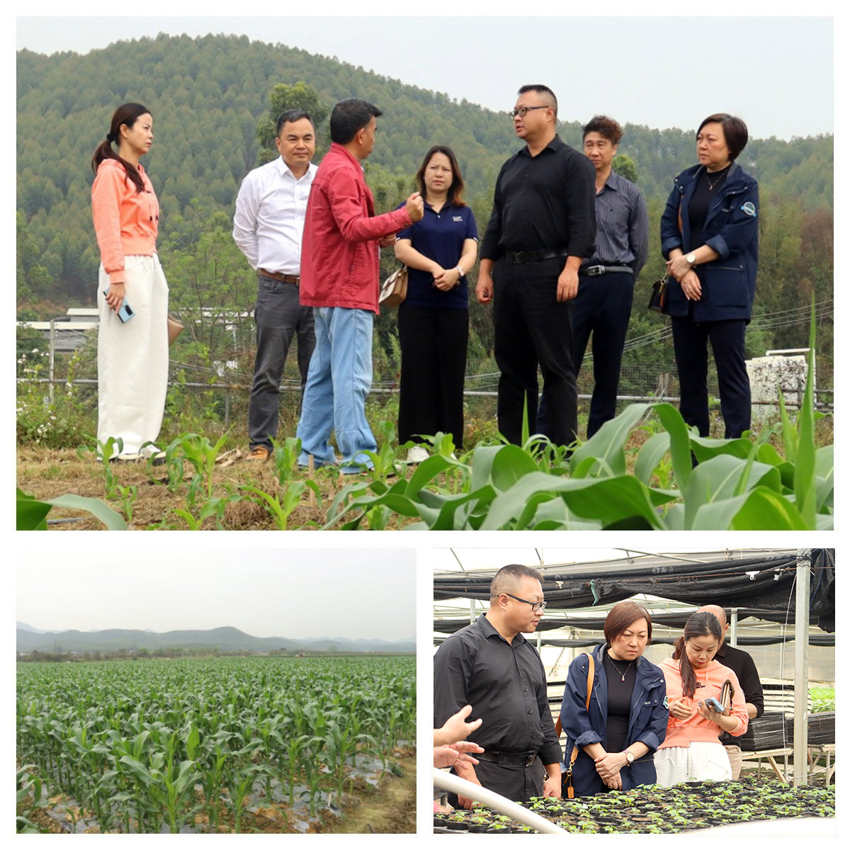 德赢·(VWIN)官方网站-AC米兰官方合作同伴