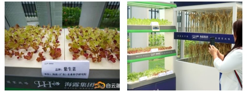 德赢·(VWIN)官方网站-AC米兰官方合作同伴