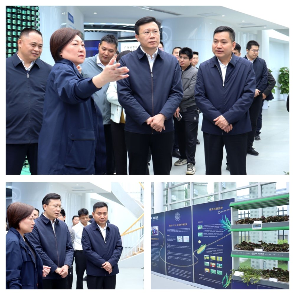 德赢·(VWIN)官方网站-AC米兰官方合作同伴