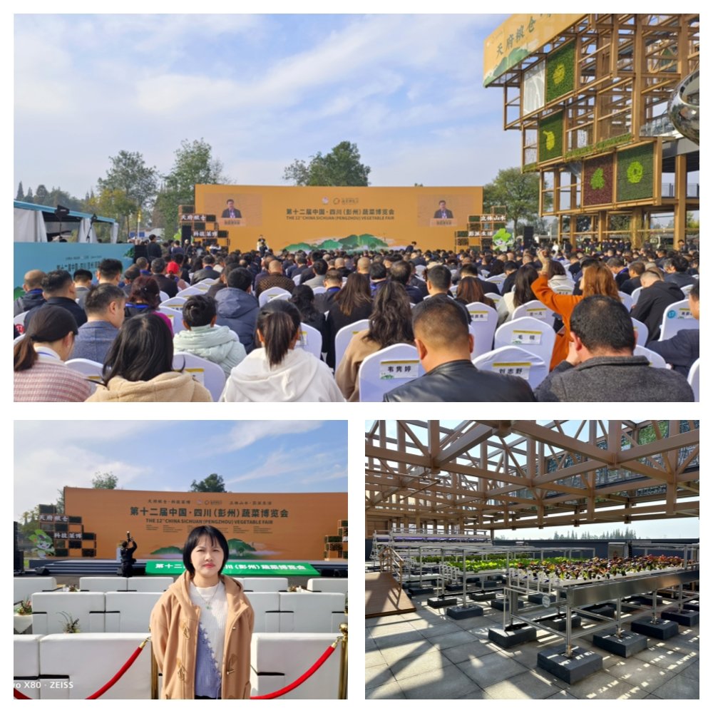 德赢·(VWIN)官方网站-AC米兰官方合作同伴