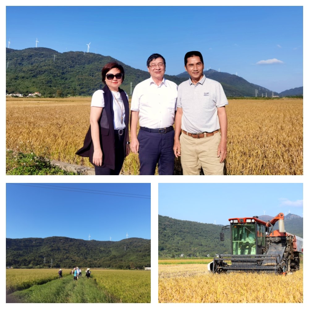 德赢·(VWIN)官方网站-AC米兰官方合作同伴