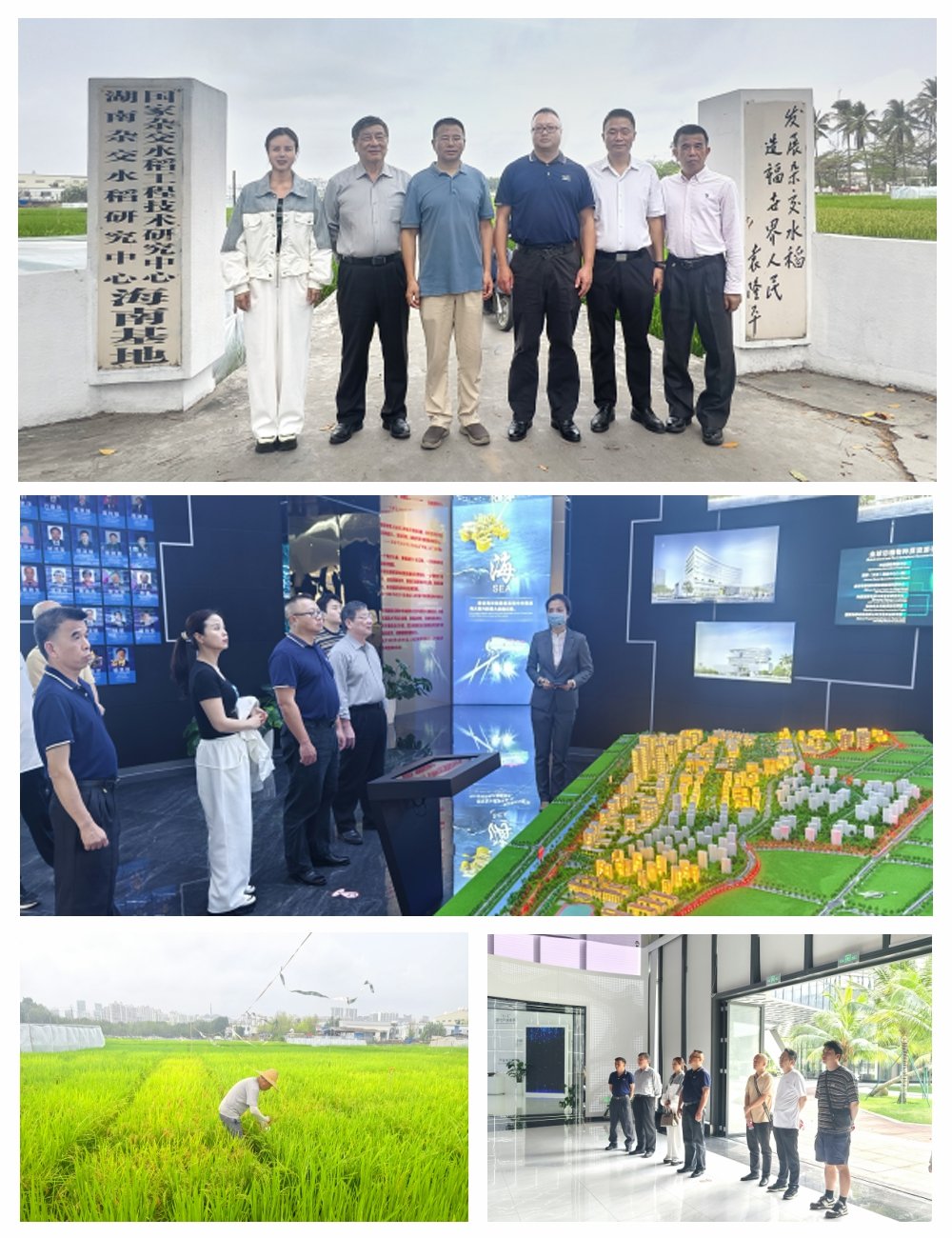 德赢·(VWIN)官方网站-AC米兰官方合作同伴