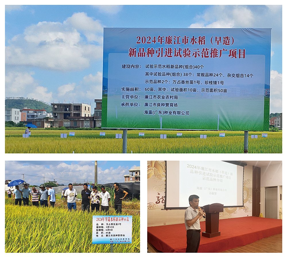 德赢·(VWIN)官方网站-AC米兰官方合作同伴