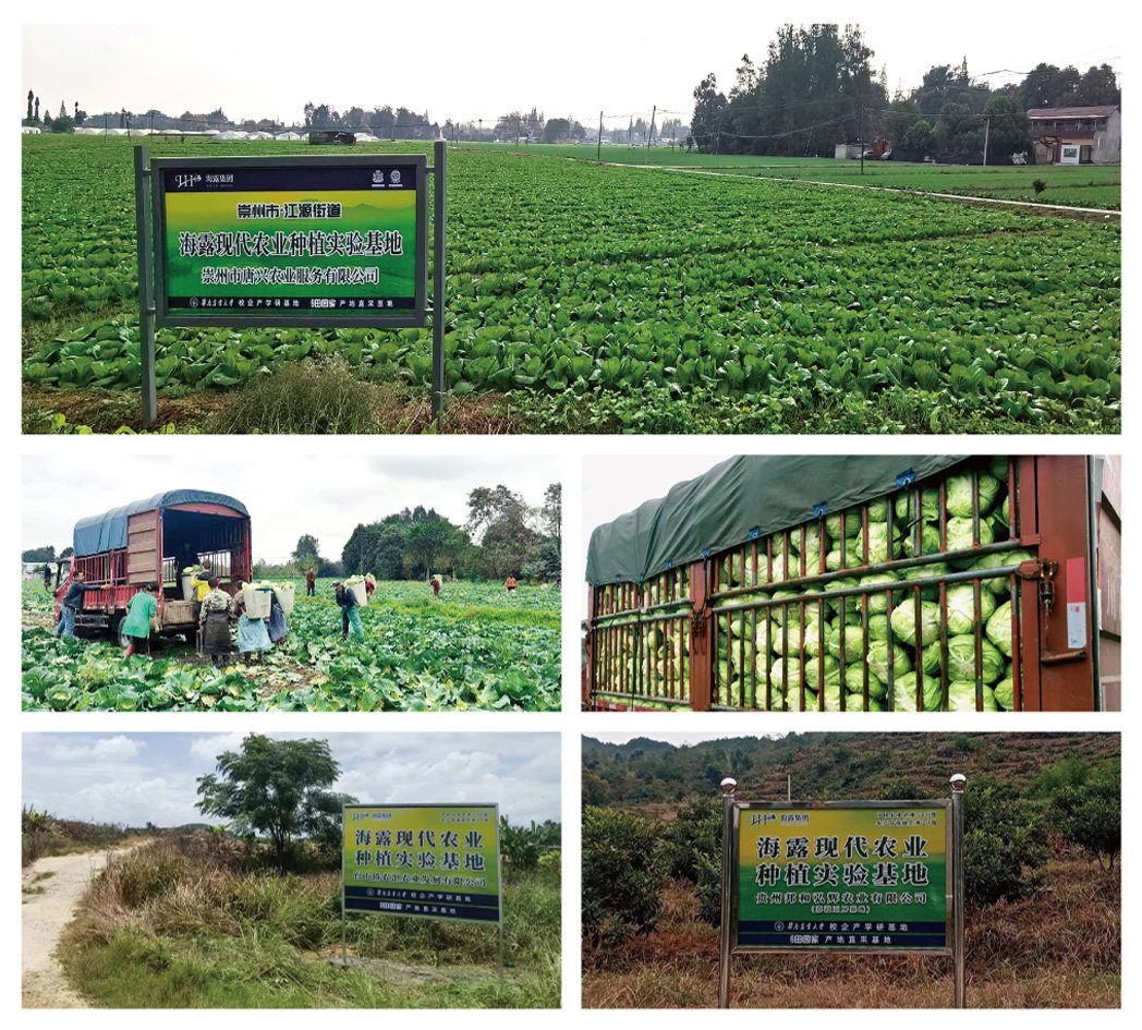 德赢·(VWIN)官方网站-AC米兰官方合作同伴