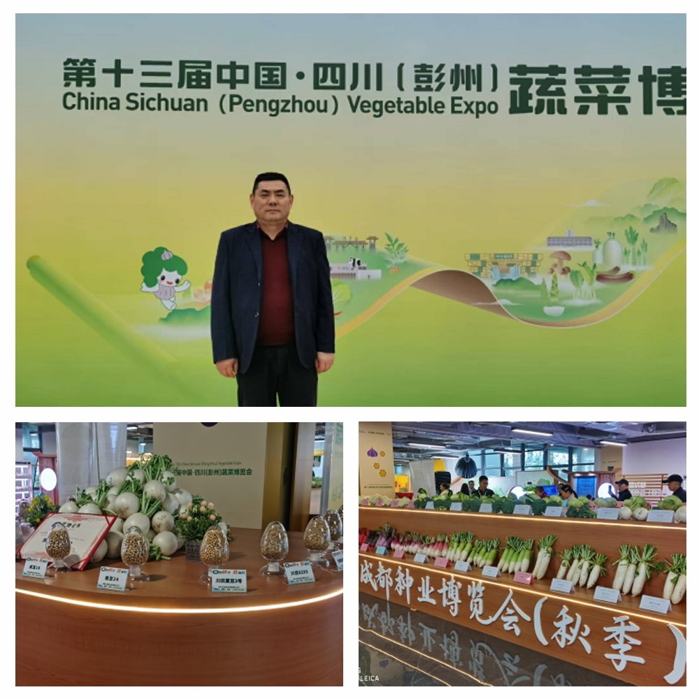 德赢·(VWIN)官方网站-AC米兰官方合作同伴